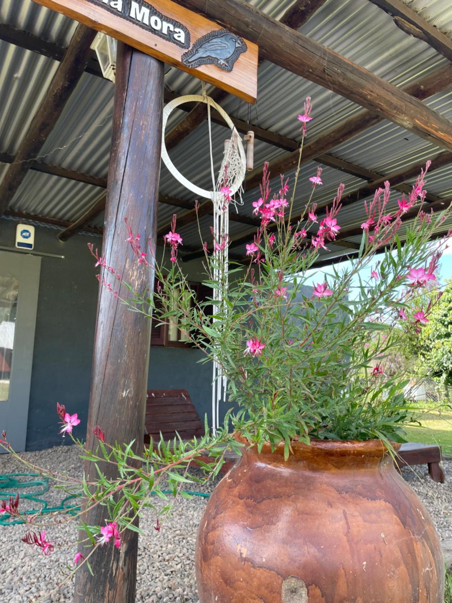 Holiday home Kapo Team Villa Amancay